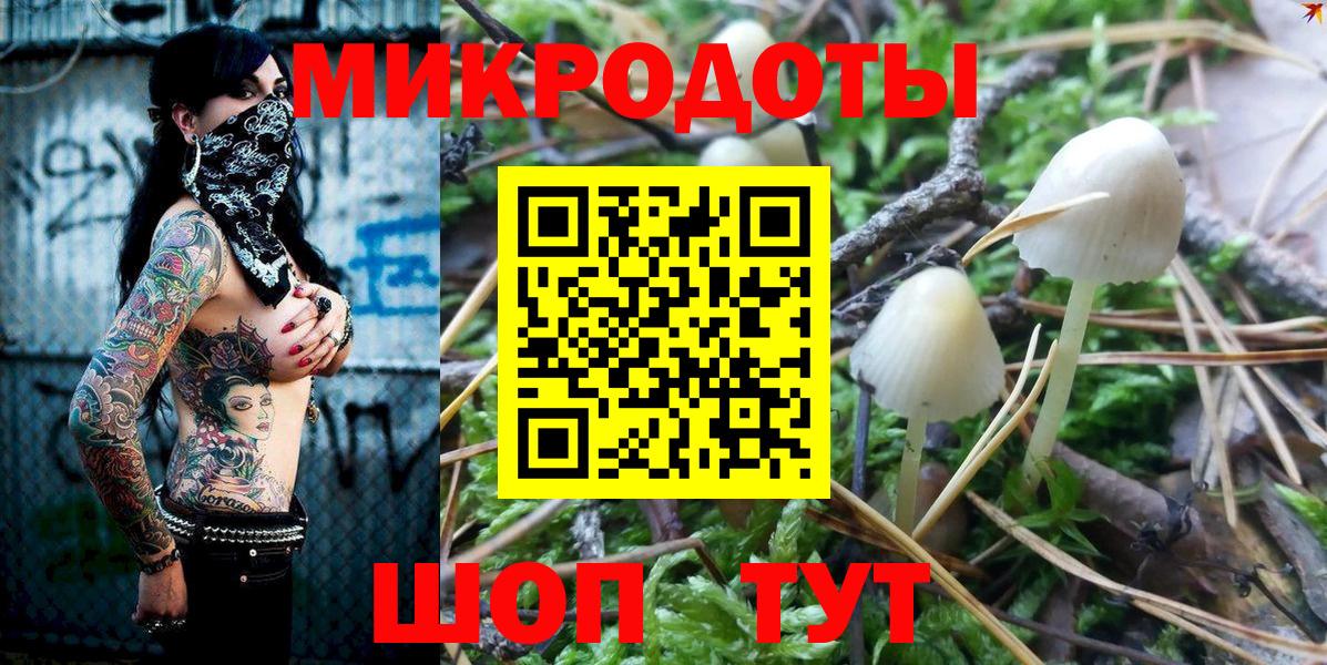 Псилоцибиновые грибы GOLDEN TEACHER Долгопрудный
