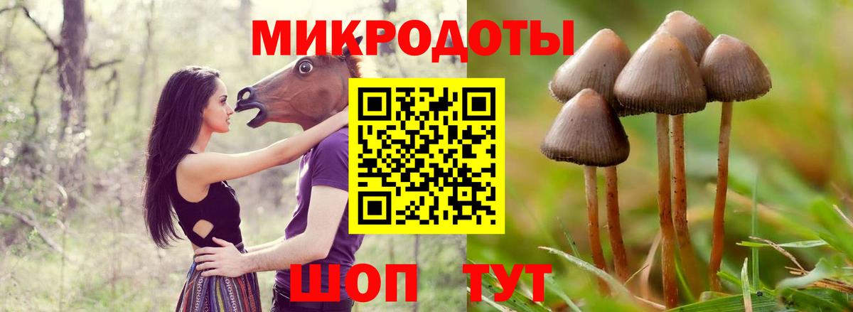Галлюциногенные грибы ЛСД  Вход с VPN  Долгопрудный  купить наркотики цена  Галлюциногенные грибы ЛСД 